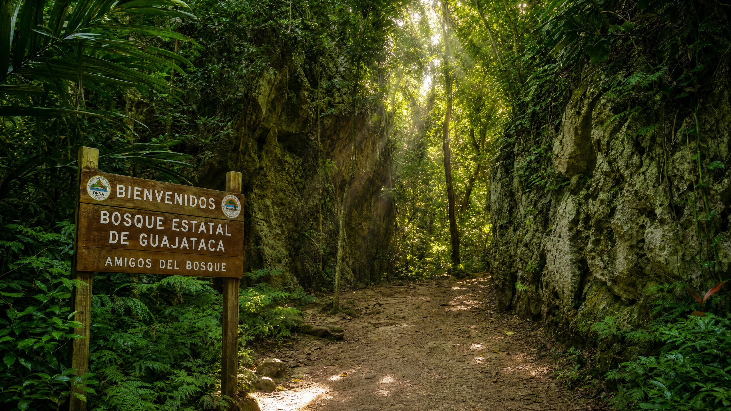Guajataca State Forest trail with karst limestone formations and lush tropical vegetation